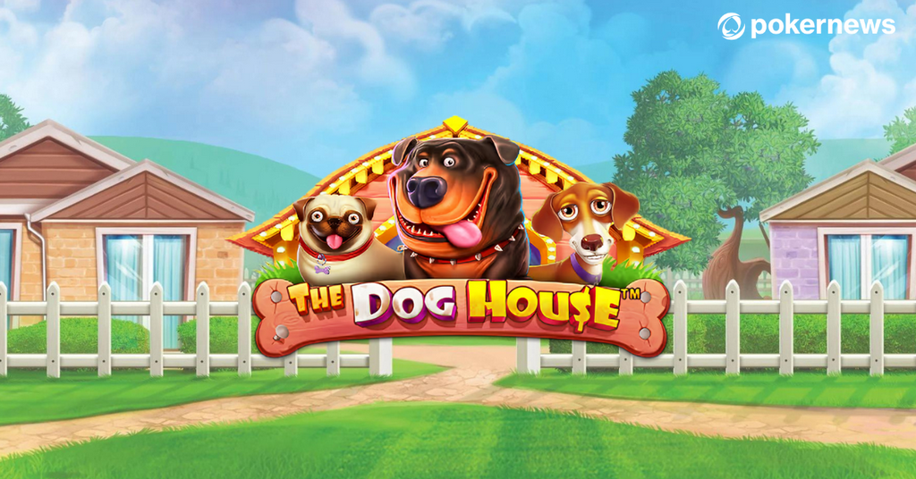 Recensione di The Pet House